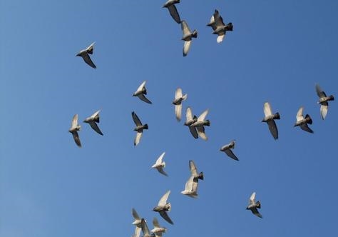 ���һ��Ѫ ��·ѵֱ��500����