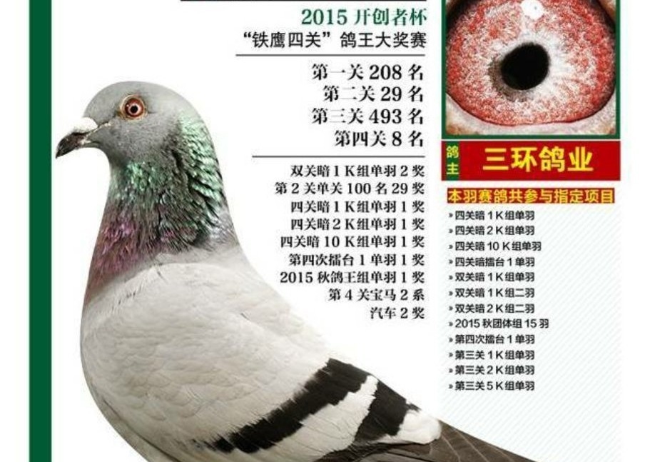 Ǯ����������� ��ô�ƣ�