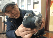 �����������ظ�Э���� Ϊ��;�Ÿ�������