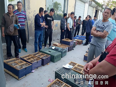 ֧�ֱ���ȫ������ ������Я�ִ��˸���������