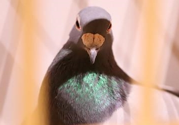 �����������Ÿ�������𲻴��ڽ�˰���⣡