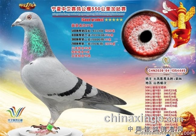 �Ÿ���������ͱ����̽��