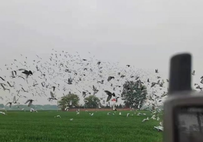�����ն���� ��ɽ������Ĺ�500������ս����