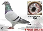 �ø��ӵ����ﶼ��