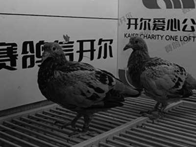 ���ｻ�����粻�˳٣�