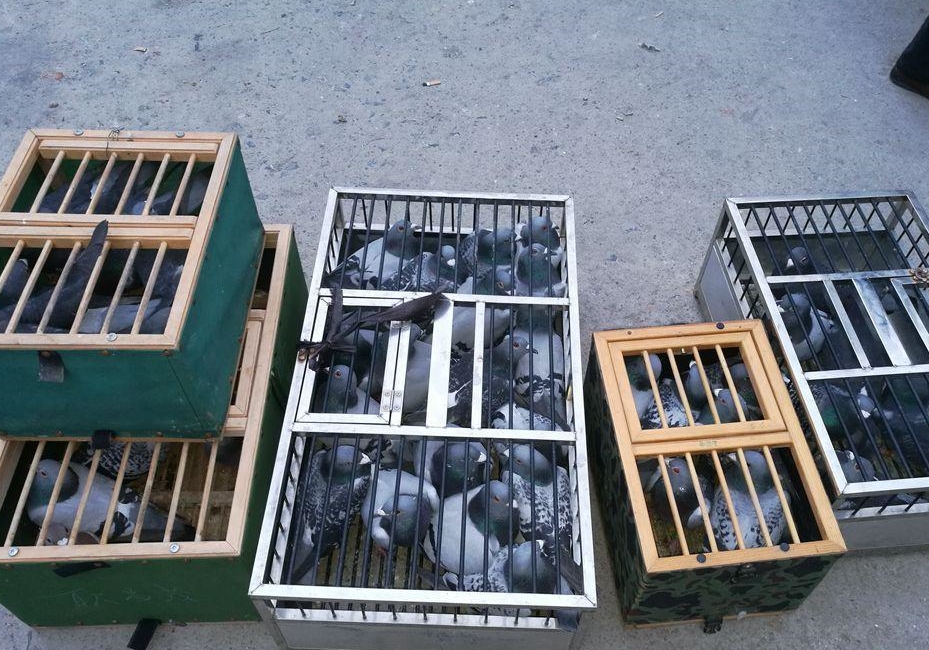 ������Ȥ���Ȼ�����ľ�ϲ�;���