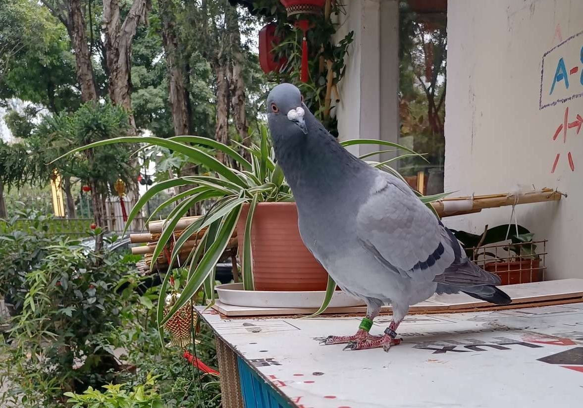 �������뿵���ռ�