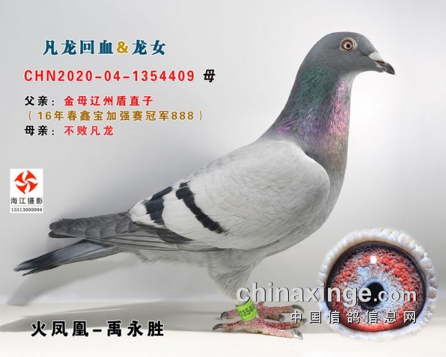 GPS�������ܵģ�