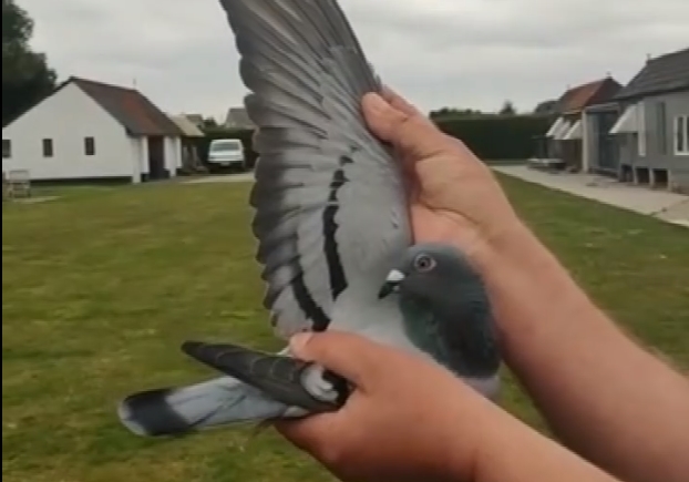 ������I������15881��ھ�