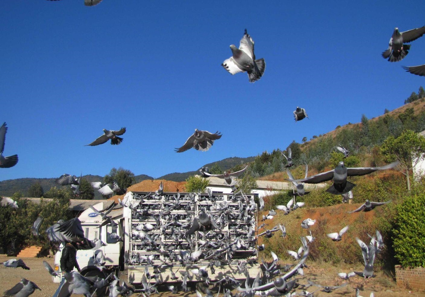 �Ӽǣ����ҵ����λ�������εĽ��