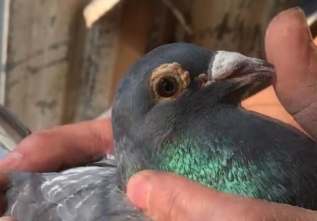 ���Ѽ�����һ������