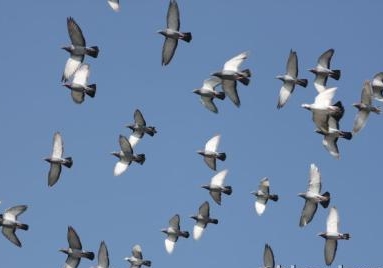 �������� �ɽ�700�������ǰ����