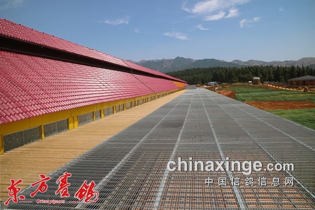 ��������ͭ���������ո��15734��