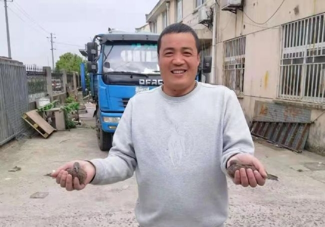 ������ɽ�����������ʤ���ȶ��