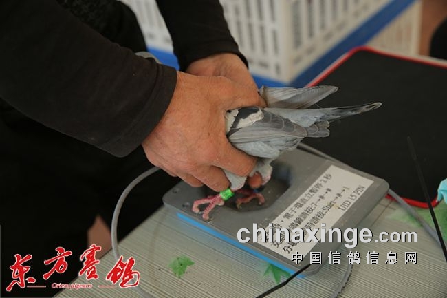 ��򿪴�������500����11���ں���ԭ���ؿ���