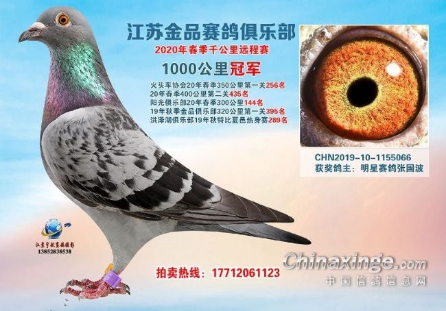 ������ ǧ����ھ��ĸ�������