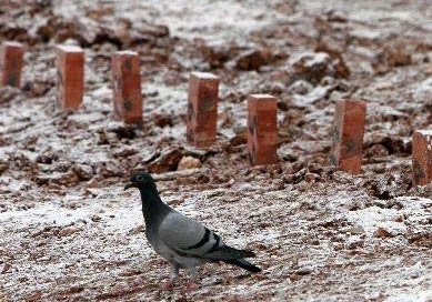 �Ӽǣ��봨�������� ӡ���Ժ���ĸ��Ӽ���