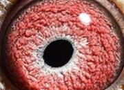 �𰸽��� ��������ǧ����ھ��ĸ���