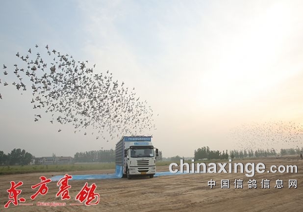 һ��������ɧ ��ɽӢ��ʮռ��