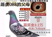 2021�괺���������ͻ�������͵ļ�¼