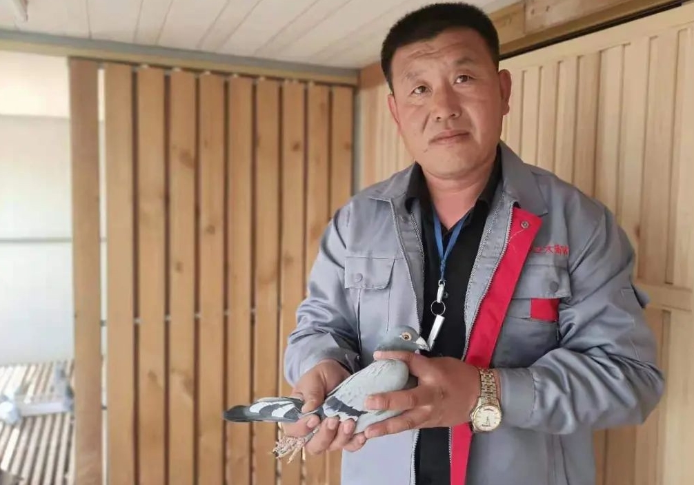 ������������������ ���Ѱ�����������ҵ