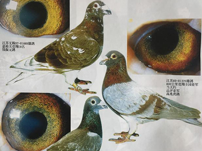 һ��90���������˵ķ�̸¼