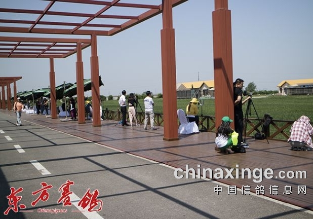 �����������Ĺط����������续