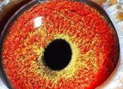 ����0000008�Ű���������