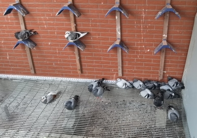 ���ϸ���· ���������ʮ��ɼ���