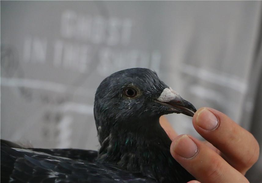 �Ŵ��ϸ�����ʤ��ǿ׳�ۣ�