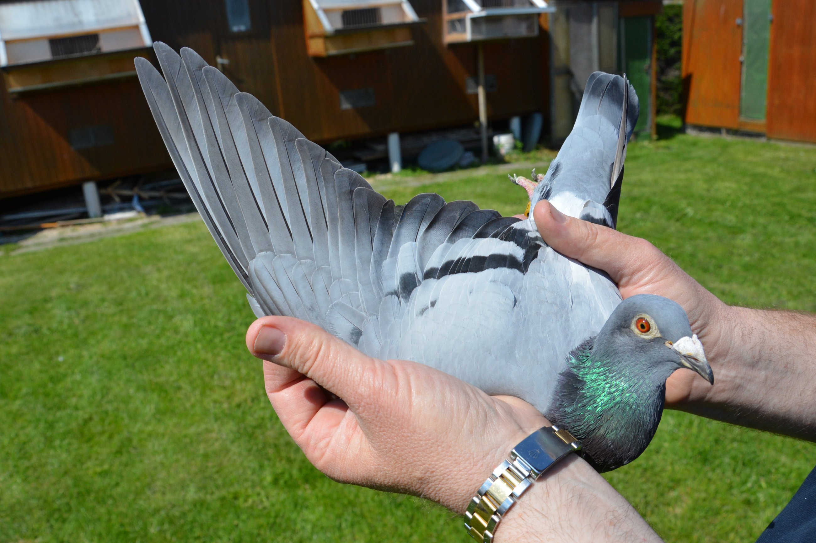 ����I������5.9����ս �ھ��������ȿ�