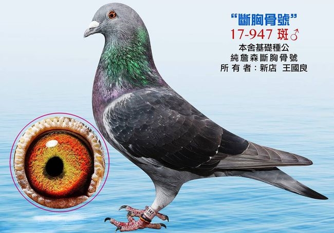 ̨������������ �ܷɶ������ղɭ�� 