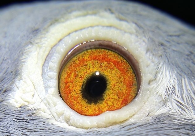 ��������ԣ���ڳ���ڣ�