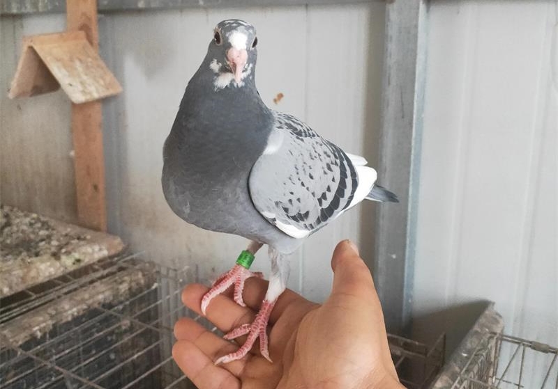 ����30�꣺������˵ �����ΰٲ�