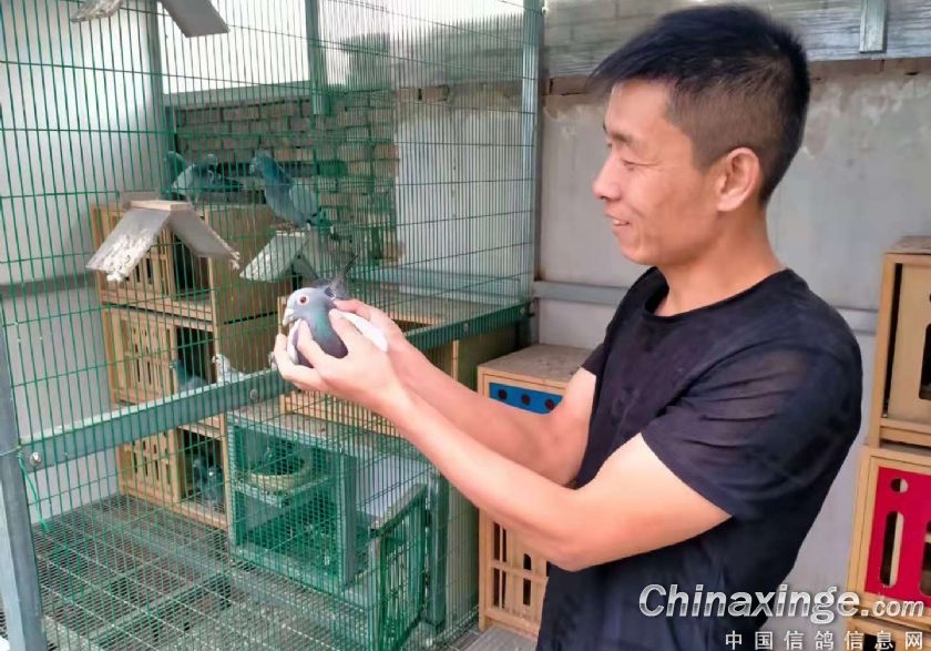 ���˺����ţ����߷��Ը����� �ط�����