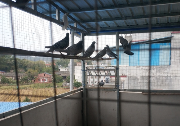 ��������Ÿ� ��ʼ��ħһ����