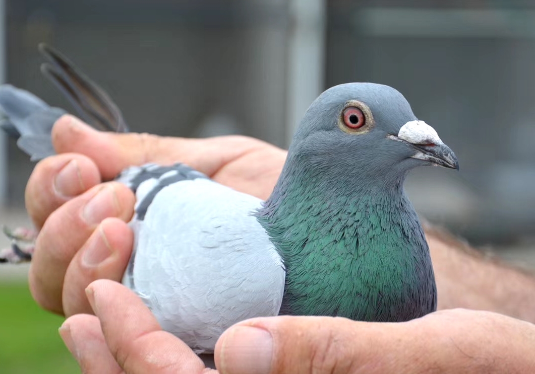 ����ھ����� ����³4����ھ��ճ�¯