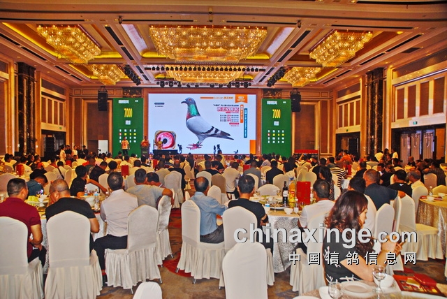 �Ĵ����ˡ��й������Ĺظ���������������ճ���ͼ��