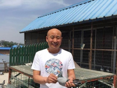 Ӳ����Ӳ�� ר�ñ����������񺣣�