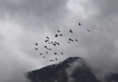 �Ÿ�͸����Ļ���Ϣ����������