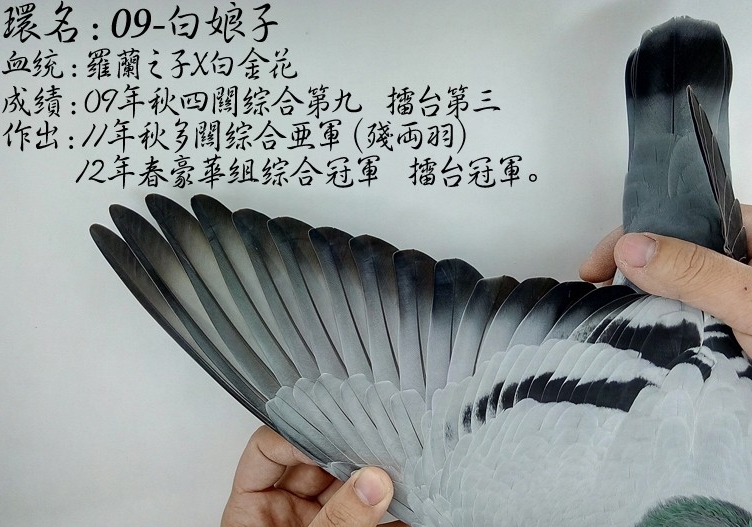 �������飺һ���е㡰���֡��ı���