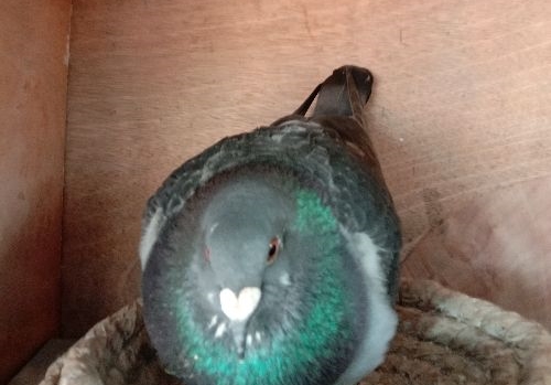 һ�����ŤתǬ�� ��ഺ��ϲ���Ǿ�