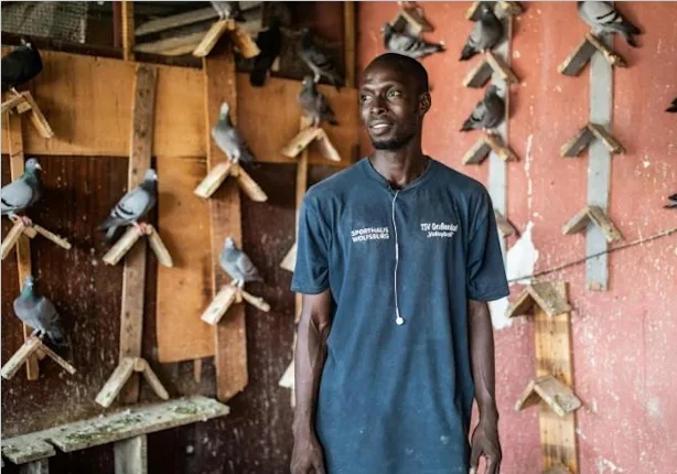 �����ǵ����ڼӶ� ����������