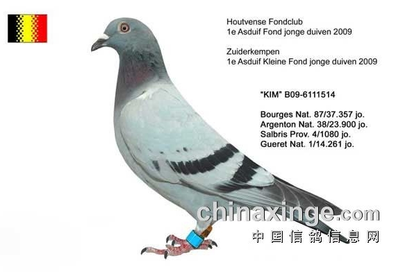 ��������֣�Ϊʲô�߼������ԭ�������ˣ�