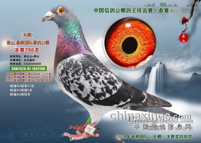 ���˱������� �ø������Ķ�����