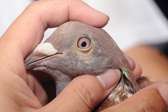 ΪС�����ھ�������