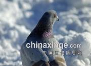 ���죬���е���������������