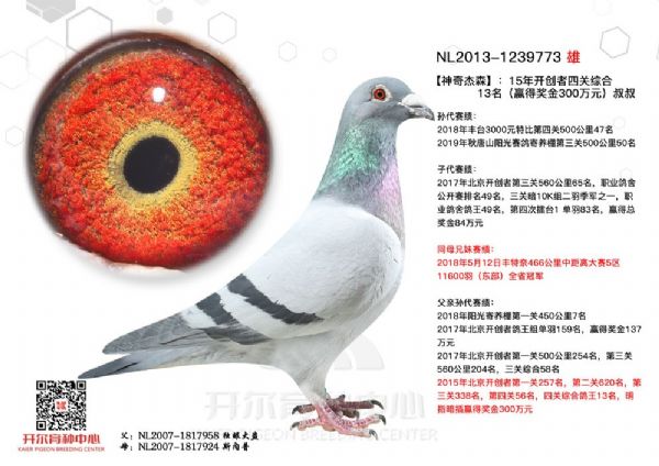 ������ƿ�ϵ����������֪������