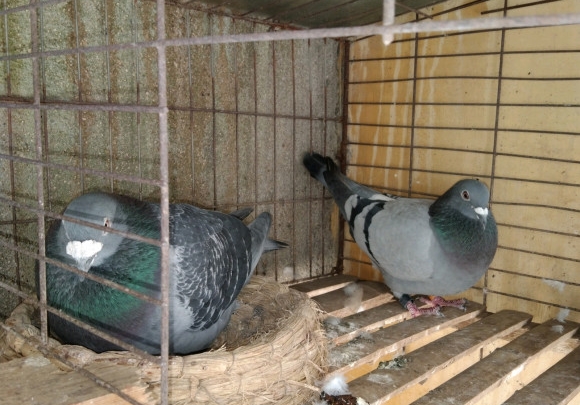 ���������ˣ���ʮ���������ҹ�ཨ��