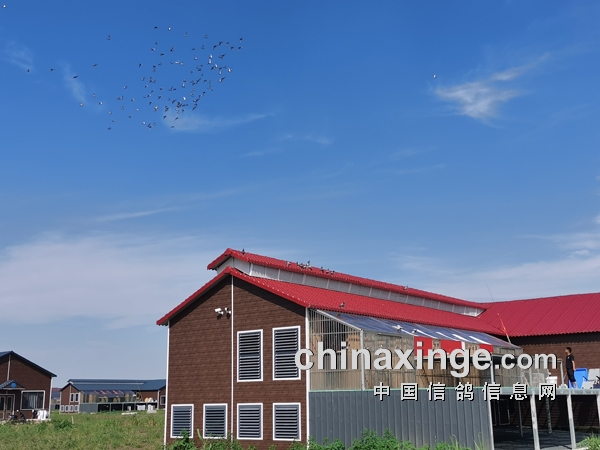 嫺�ʰ�� ������ʯ���������ֳ�̽��